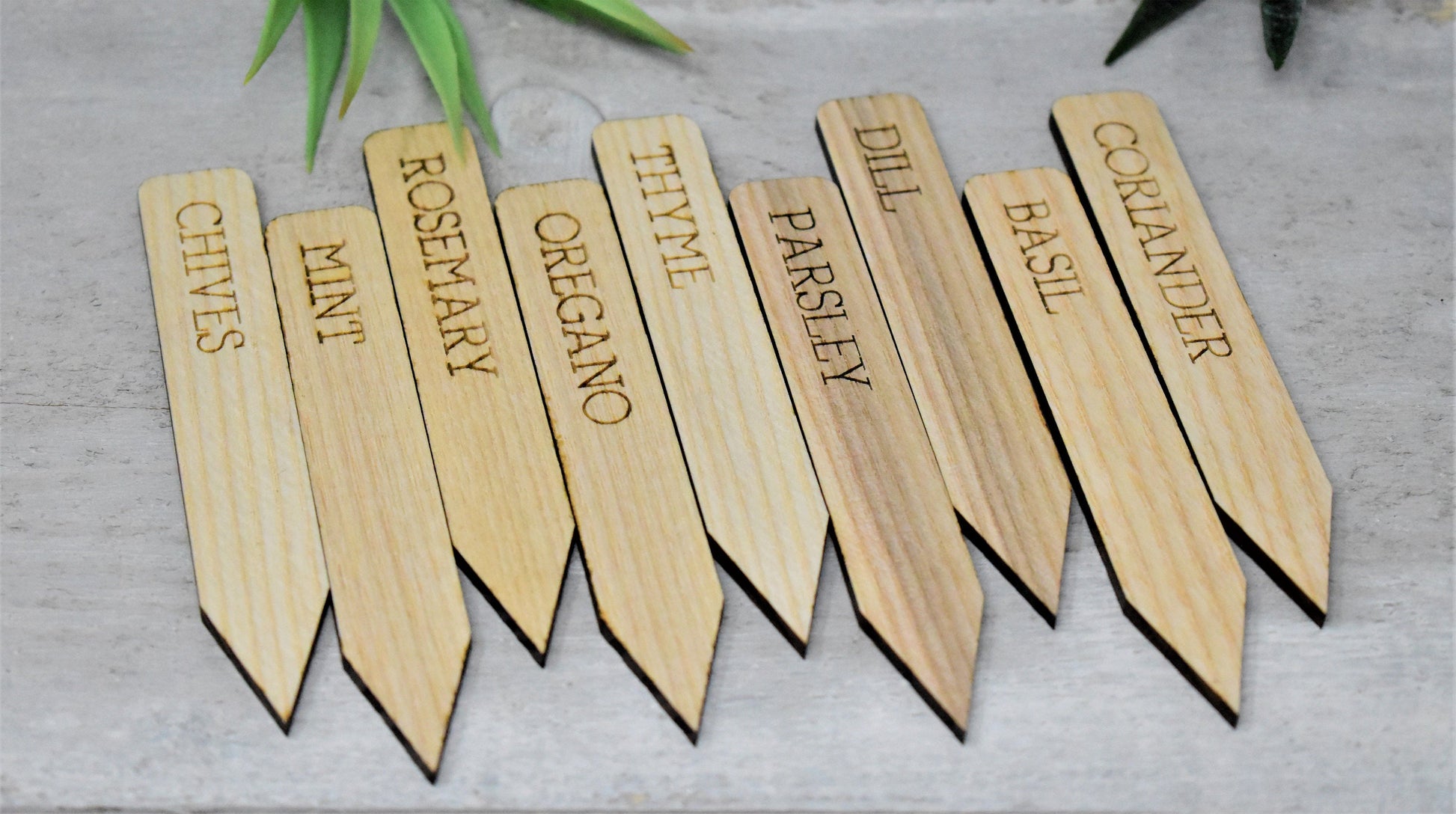 Custom Engraved Wood Garden Plant Labels - gardener gift, greenthumb gift, potted plants, herbs, custom wood labels, unique gift for him/her