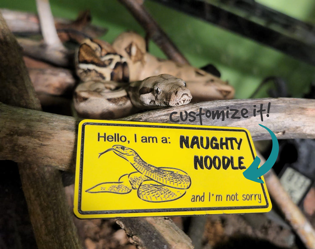 Naughty Noodle Funny Snake Enclosure Sign / Vivarium Accessories for Spoiled Snakes